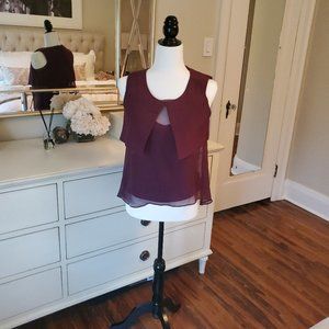 Gorgeous Deep Purple Chiffon Top